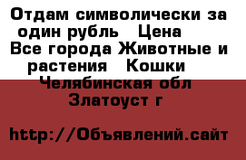 Отдам символически за один рубль › Цена ­ 1 - Все города Животные и растения » Кошки   . Челябинская обл.,Златоуст г.